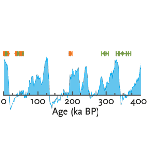 Altersverteilung (Vorschau)