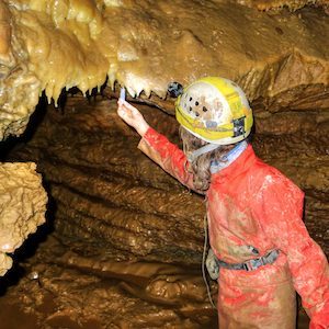 Bleßberghöhle – Schatzkammer für die Wissenschaft