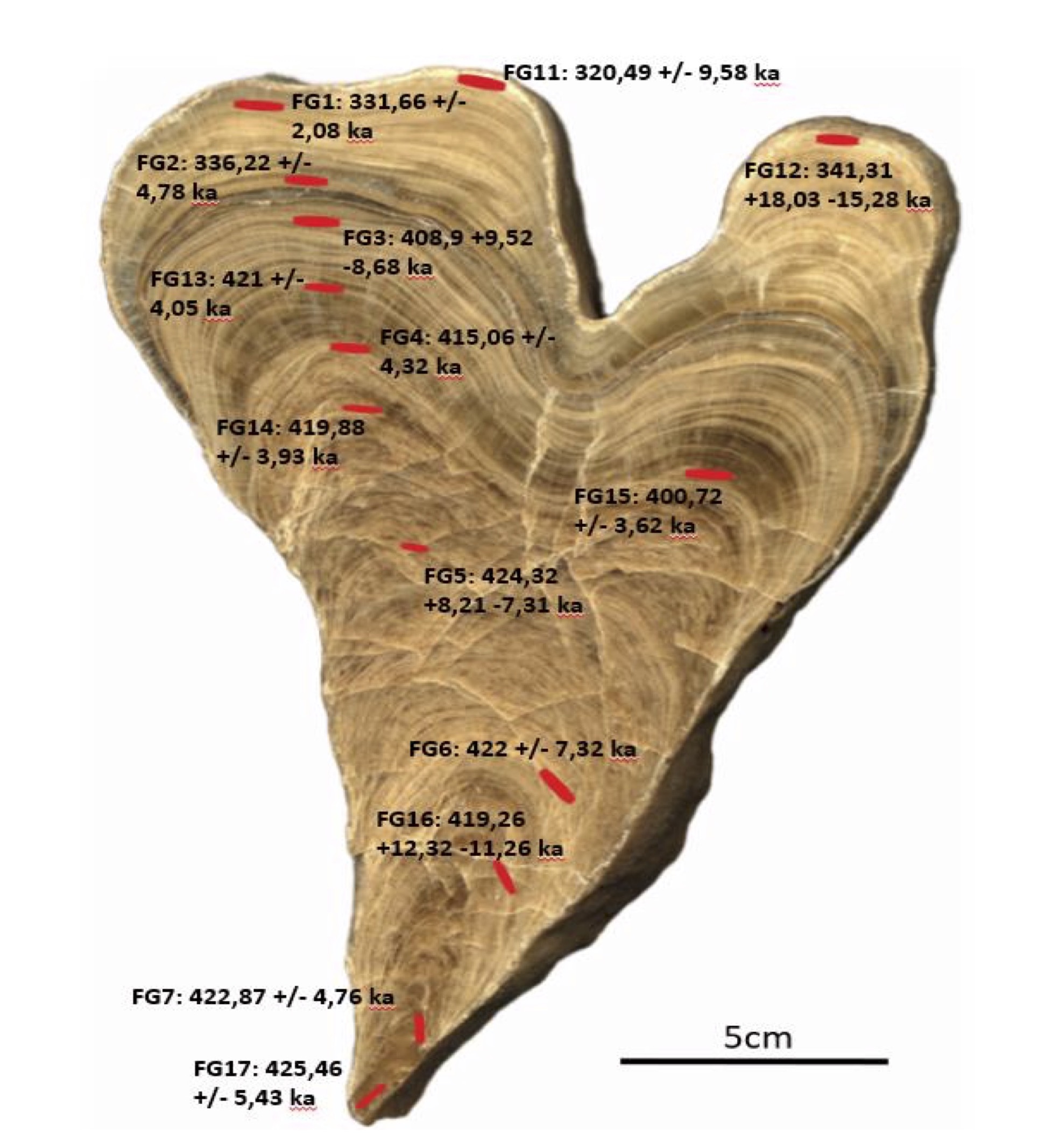 230Th/U – Datierung eines Speläothems der Marinen Isotopenstadien 9 und 11 aus der Bleßberghöhle in Thüringen