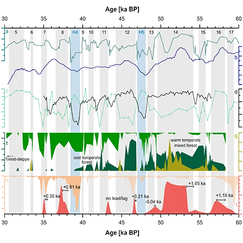 Quantitative multi-proxy climate reconstruction for MIS 3 in Central Europe based on precisely dated speleothems from Bleßberg Cave, Germany